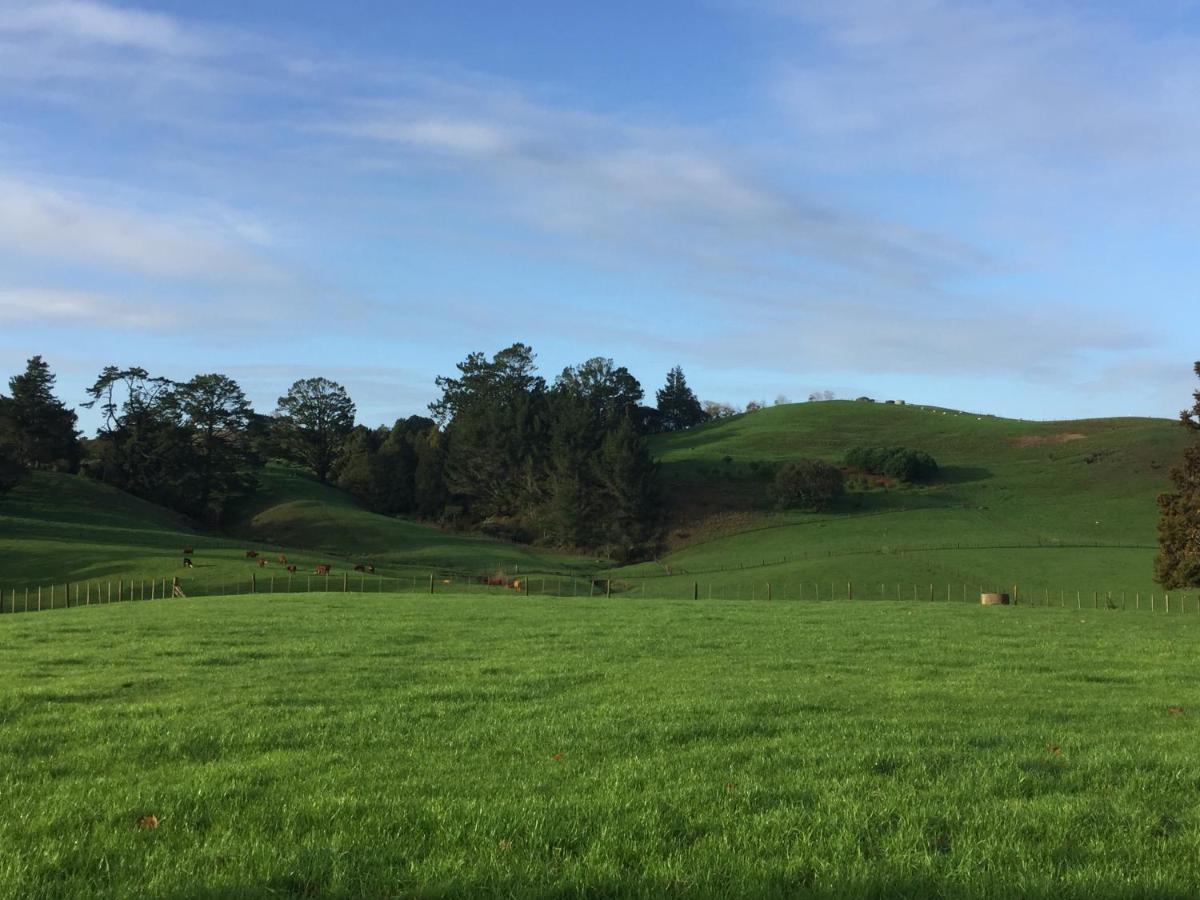 Veld View Bed And Breakfast Tuakau Dış mekan fotoğraf