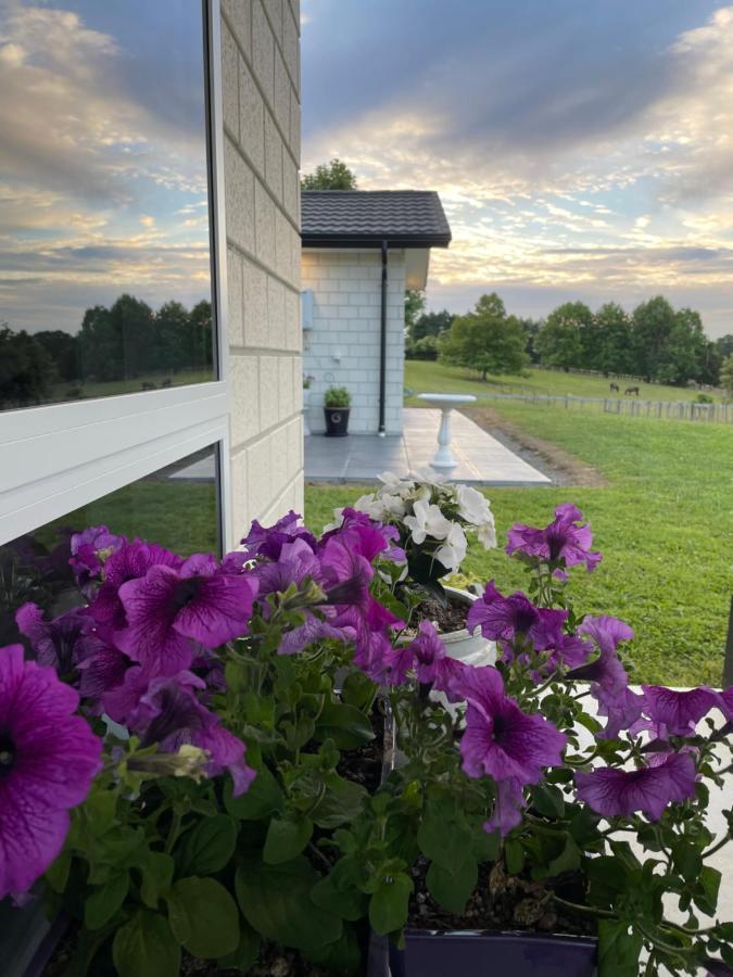 Veld View Bed And Breakfast Tuakau Dış mekan fotoğraf