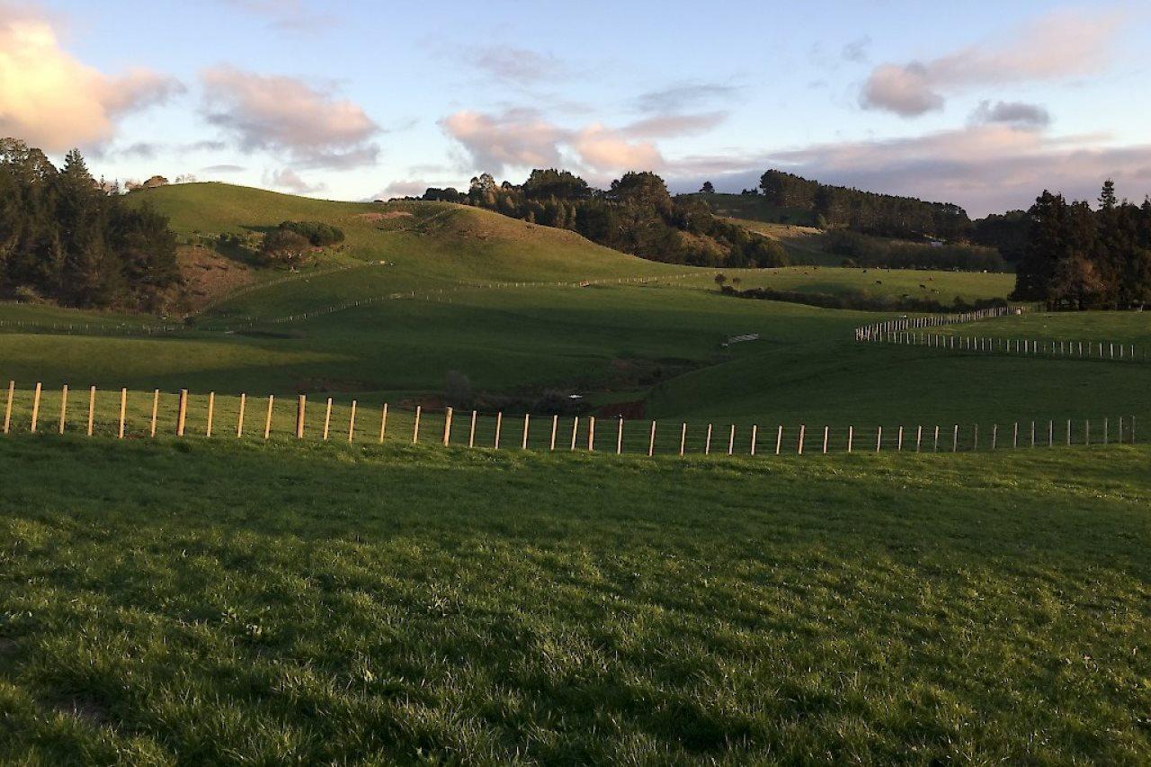 Veld View Bed And Breakfast Tuakau Dış mekan fotoğraf
